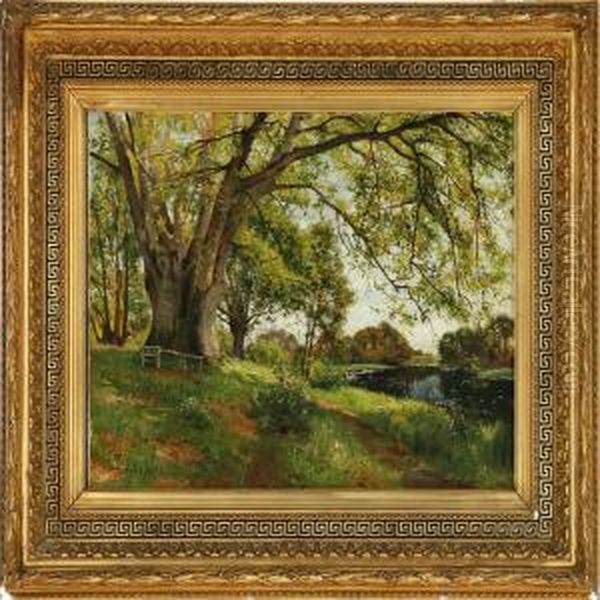 Spring Forest Near A Stream - view 1