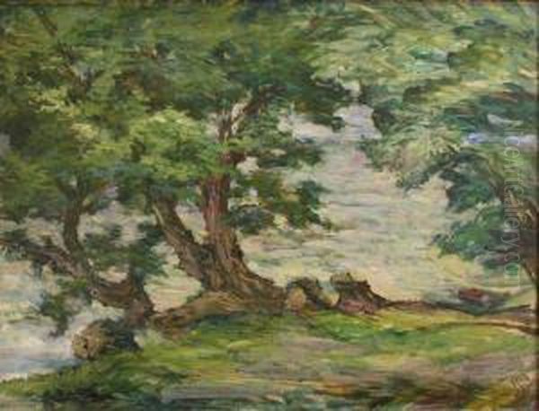 Arbres Au Bord De La Riviere - view 1
