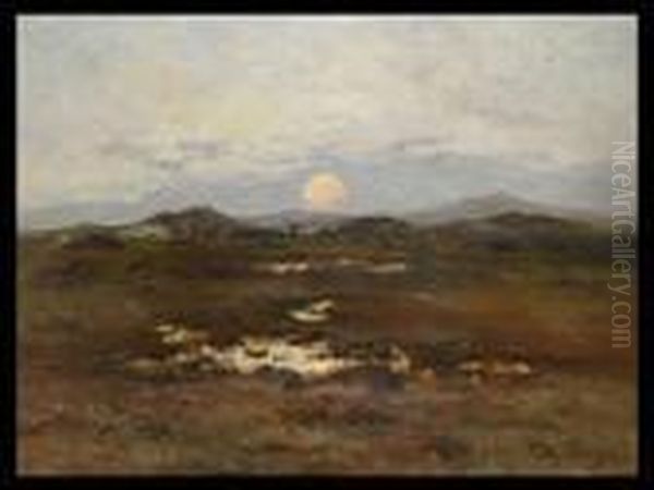 Tiefe Landschaft Mit Sonnenuntergang - view 1