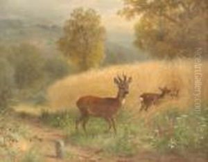 Rotwild Auf Einer Waldlichtung by Anton Schmitz