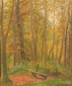 Studie Einer Bank Im Wald Studie Einer Bank Im Wald