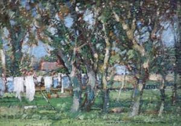 Woodland Scene - view 1