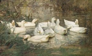 Ander I Vattendrag by Kershaw Schofield