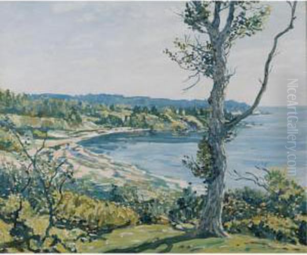 Coast Of Maine - view 1