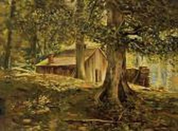 Wooded Pennsylvania Landscape With Cabin - view 1