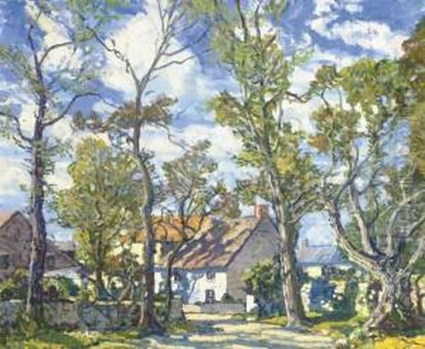 Summer Shadows - view 1