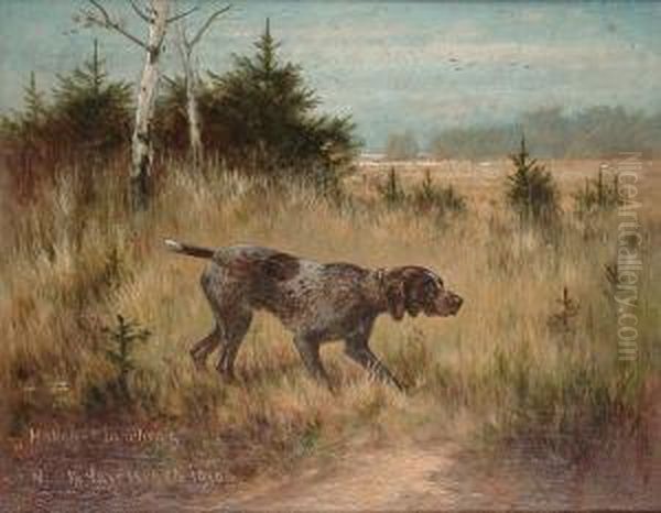German Short Haired Pointer On The Scent - view 1
