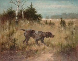 German Short Haired Pointer On The Scent