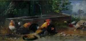 Ducks by Alfred Schonian