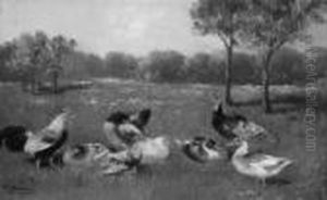 A. "huhner Und Enten Auf Einer 
Wiese". Sign. Und Bez. Munchen. Ol Auf Lwd. 15,5 X 25 Cm. Rahmen by Alfred Schonian