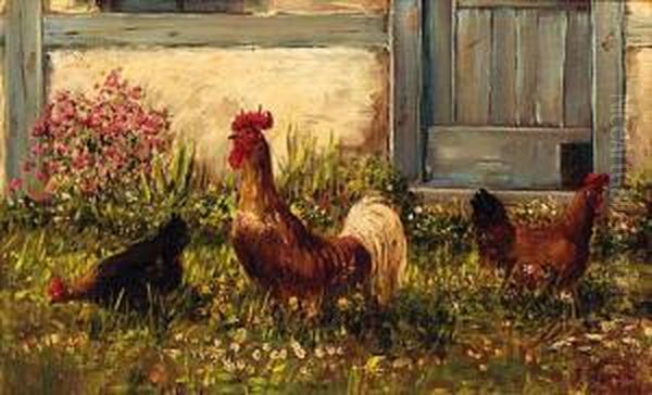 Chickens By A Barn - view 1