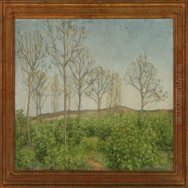 Skovbillede - view 1