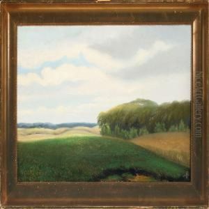 Landscape With Fields And Forest by Peter Alfred Schou