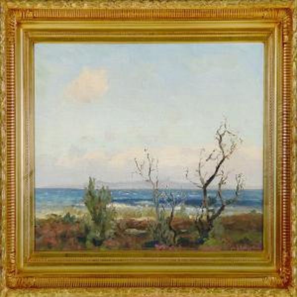Coastal Scene - view 1