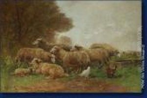Moutons Et Poules by Paul Schouten