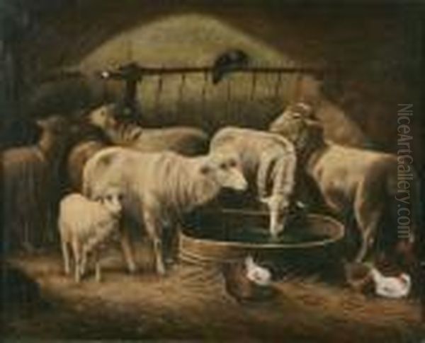 Sheep And Chickens In The Stable - view 1