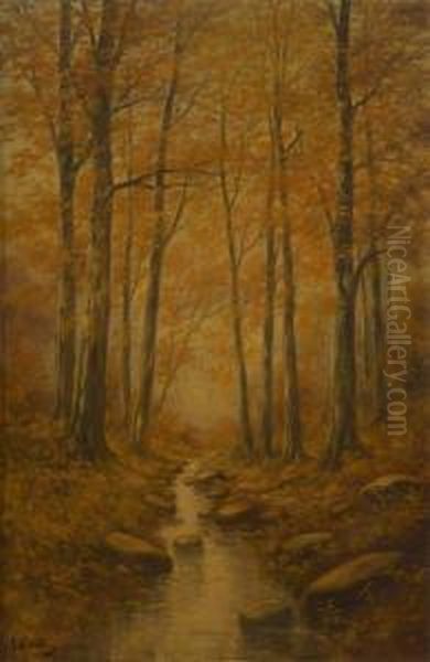 Ruisseau Enautomne - view 1