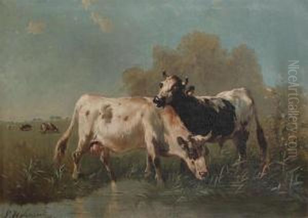 Cows In The Meadow Near The Water - view 1