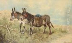 Donkeys Near The Coast