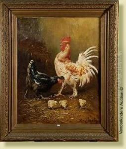 Coq, Poule Et Poussins