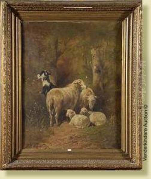 Moutons Et Chevre - view 1