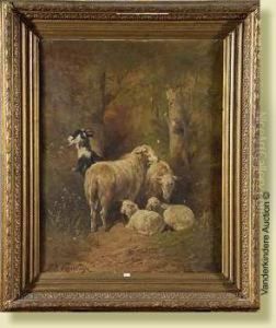 Moutons Et Chevre by Paul Henry Schouten