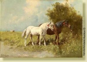 Chevaux Au Pre Chevaux Au Pre
