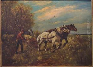 Boer En Trekpaarden.