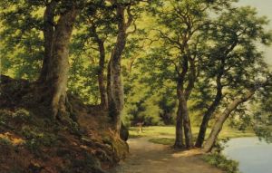 Paesaggio Boschivo