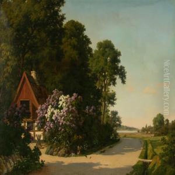 A Farm At Summertime - view 1