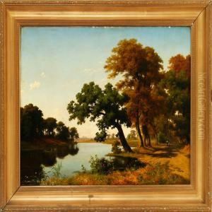 Summer Landscape Withtall Trees Near A Stream
