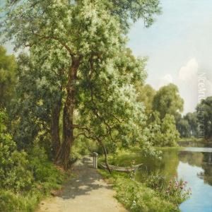 Woodland Scene