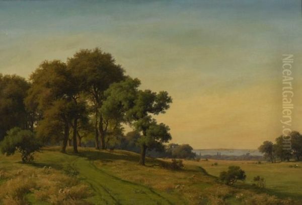 Sommerliche Baumlandschaft An Der Danischen Kuste. - view 1