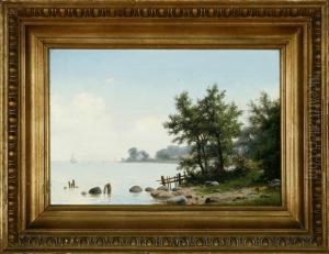A Danish Summer Coastal Scenery A Danish Summer Coastal Scenery