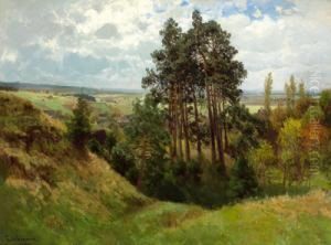 Weite Sommerlandschaft