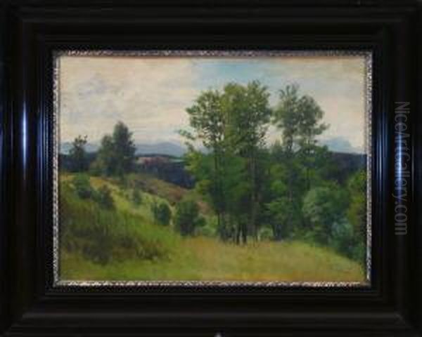 Weite Bewaldete Voralpenlandschaft, Links Im Hintergrund Ein Kleines Dorf - view 1