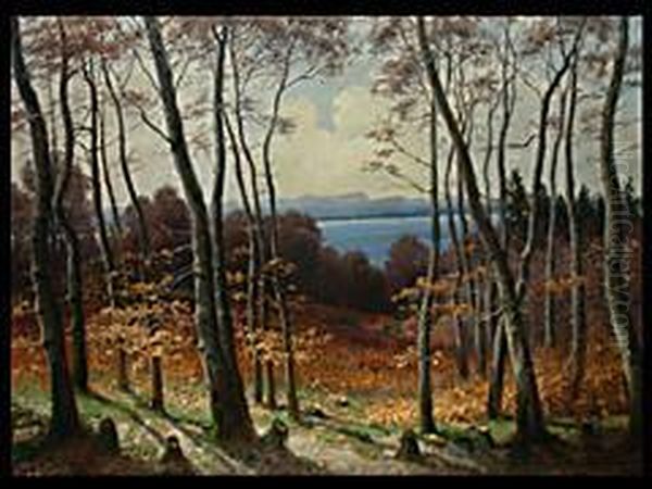 Blick Von Einer Waldlichtung Oberhalb Von Herrsching Uber Den Ammersee Zur Zugspitze - view 1
