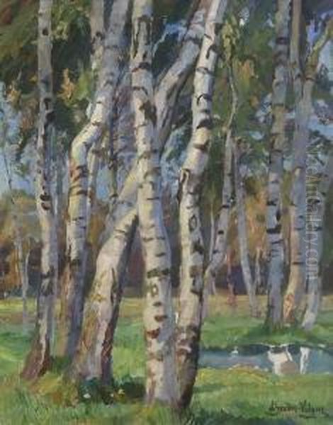 Birkenwald. - view 1