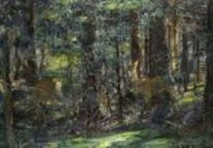 Waldinneres Mit Rehen by Rudolf Schramm-Zittau