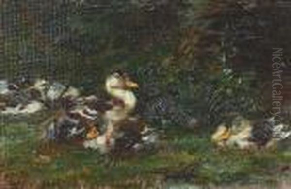 Nahansicht Einer Entenfamilie. - view 1