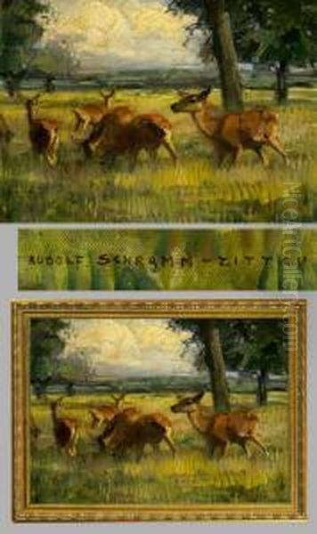 Rehe Auf Einer Waldlichtung - view 1