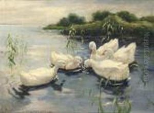 Ducks On A Stream by Rudolf Schramm-Zittau