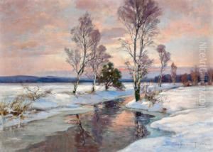 Winterabend Am Moorbruch