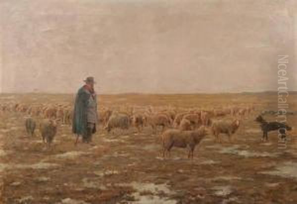Man With Flock Of Sheep - view 1