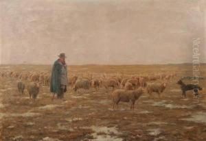 Man With Flock Of Sheep