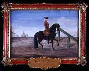 No 19 A horse of the Spanish Riding School