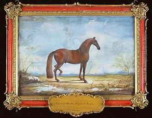 No 2 Alzan de Tunis a Barbary horse of the Spanish Riding School - view 1