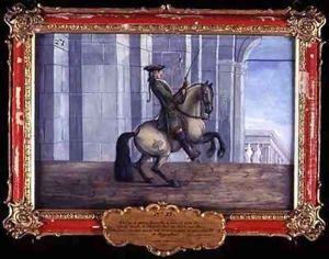 No 27 A grey horse of the Spanish Riding School performing a dressage movement called the Levade