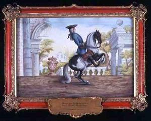 No 41 A skewbald horse of the Spanish Riding School performing the Pesade