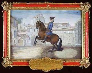 No 35 A Barbary bay horse of the Spanish Riding School performing a dressage movement in St Marks Square Florence